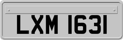 LXM1631