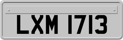 LXM1713