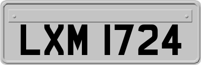 LXM1724