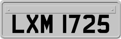 LXM1725