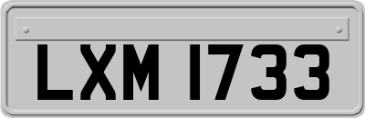 LXM1733