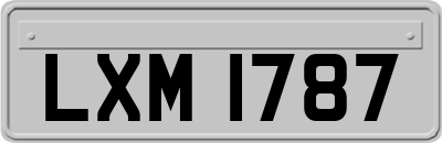 LXM1787