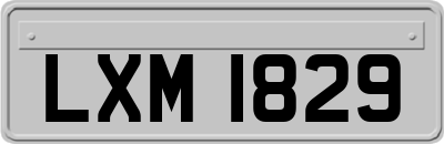 LXM1829