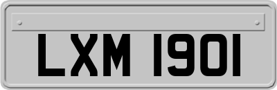 LXM1901