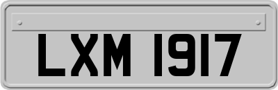 LXM1917