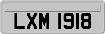 LXM1918