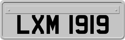 LXM1919