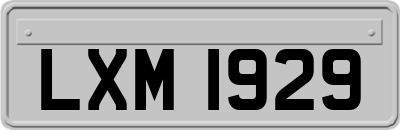 LXM1929