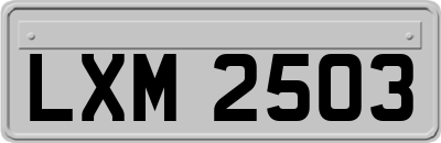 LXM2503