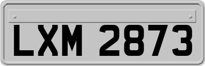 LXM2873