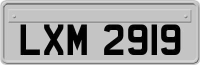 LXM2919