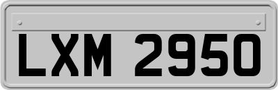LXM2950