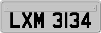 LXM3134