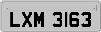 LXM3163
