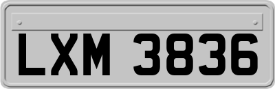 LXM3836