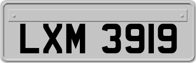 LXM3919
