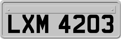 LXM4203