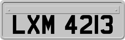 LXM4213