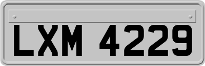 LXM4229
