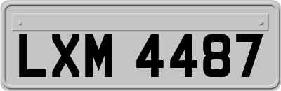 LXM4487