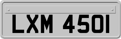 LXM4501