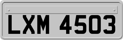 LXM4503