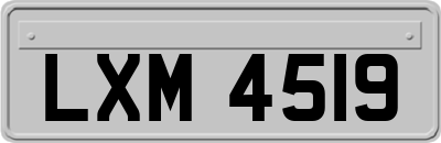 LXM4519