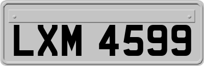 LXM4599