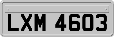 LXM4603