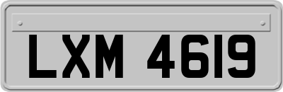 LXM4619