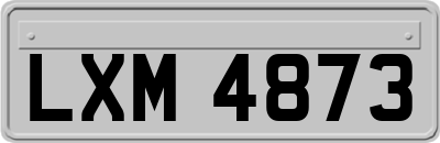 LXM4873