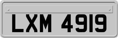LXM4919
