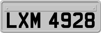 LXM4928