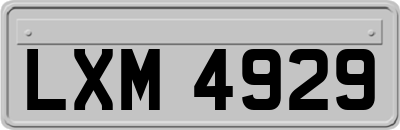 LXM4929