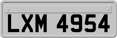 LXM4954