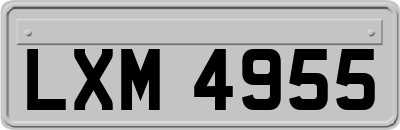 LXM4955
