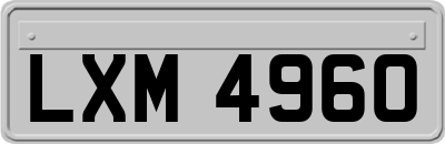 LXM4960