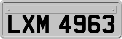 LXM4963