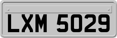 LXM5029