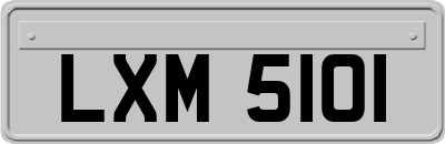 LXM5101