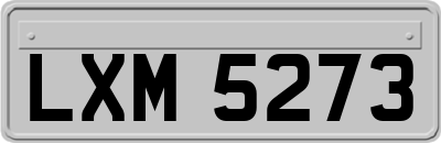 LXM5273
