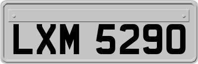 LXM5290
