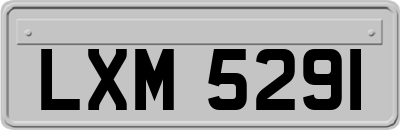 LXM5291