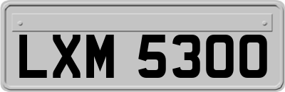 LXM5300
