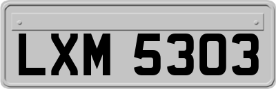 LXM5303