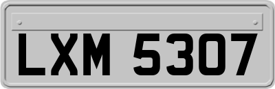 LXM5307