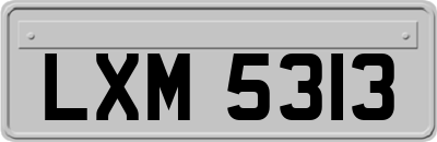LXM5313