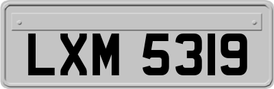 LXM5319