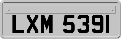 LXM5391