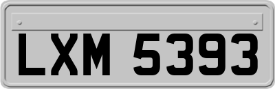 LXM5393